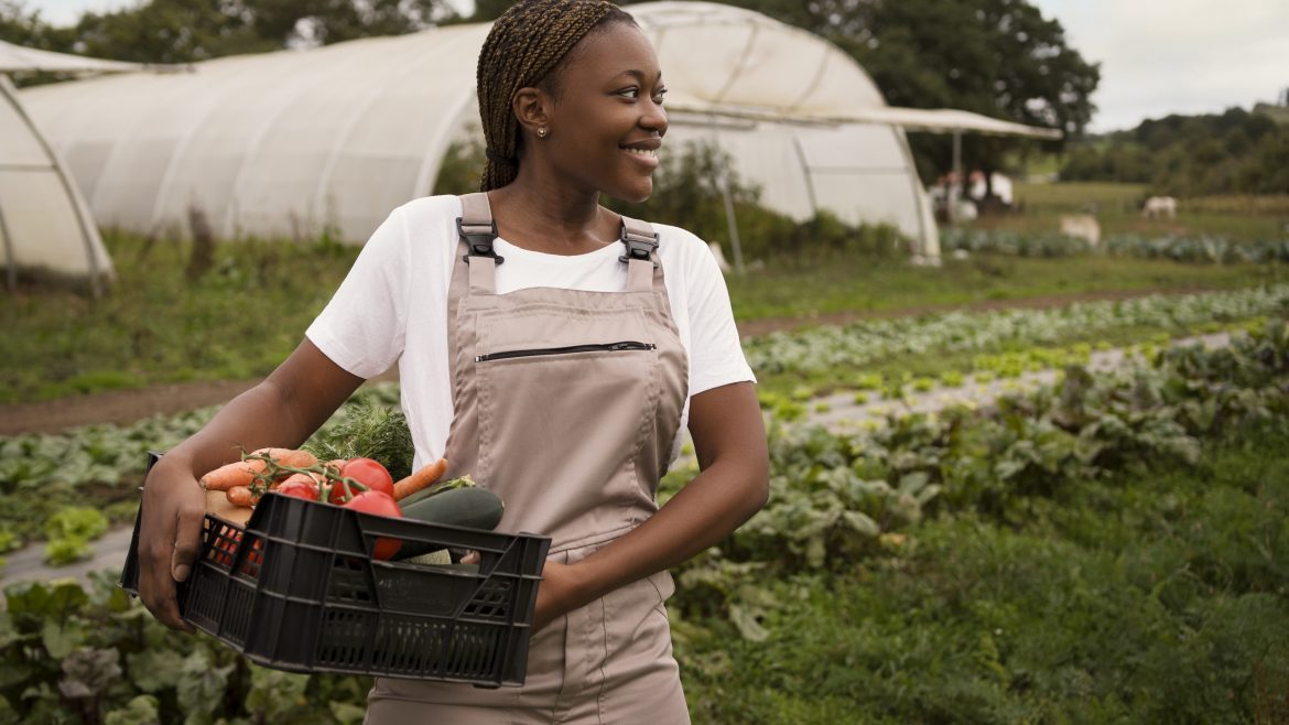 Vegetable Farms