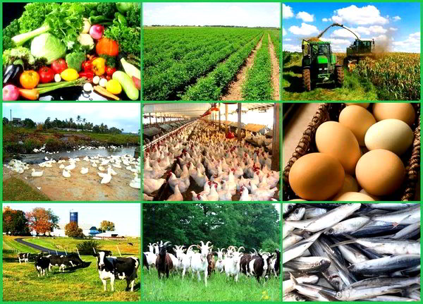 Types-of-Farming-in-India-with-Beneficial-Guidance